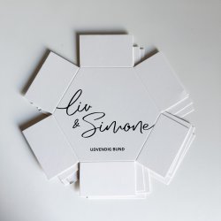 LAV DINE EGNE PEDARI�SKER - DIY KIT